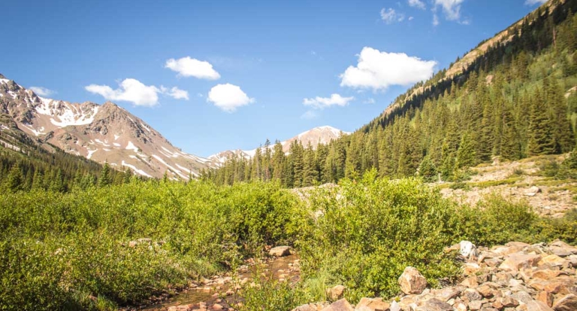 Green shrubs and trees lay in front of a mountainous landscape under blue skies